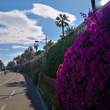 Petit Avec Classe San Remo Exterior foto